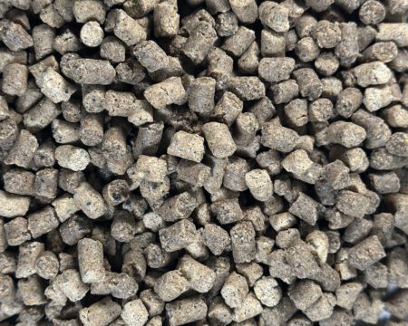 Форель ріст 6 мм близько