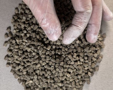 Форель ріст 4 мм одна