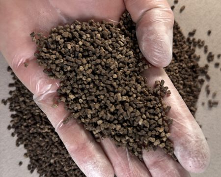 Форель старт 2 мм на руці