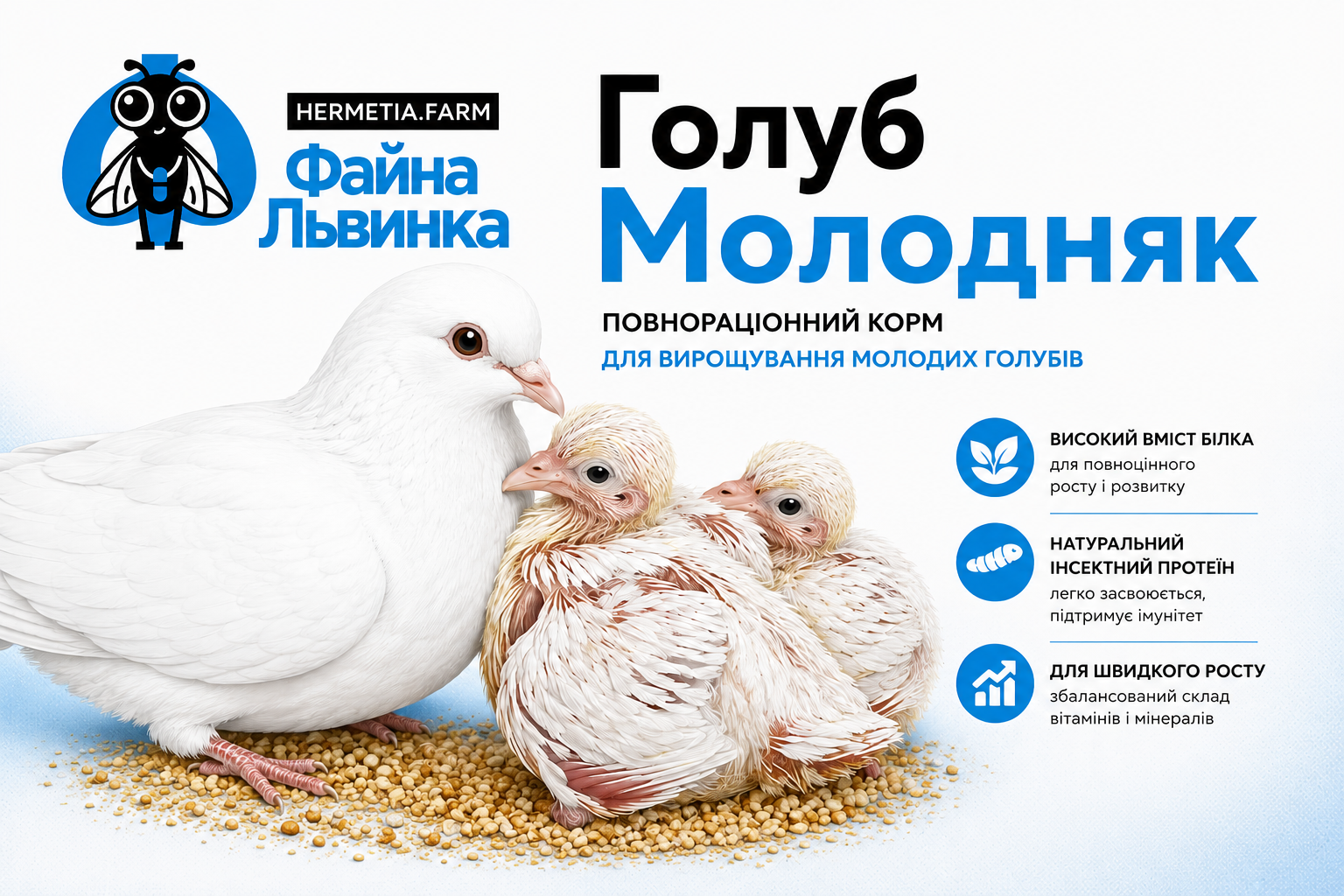 Голуб Молодняк